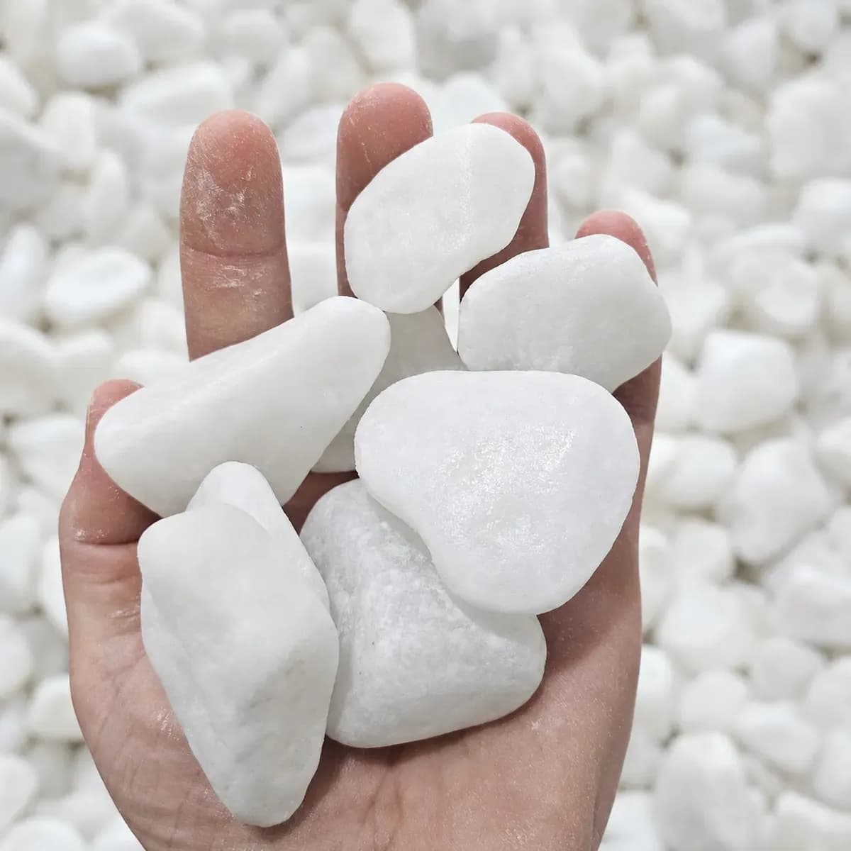 20kg Pedra Dolomita Branca Decorativa Seixo Para Jardim No3 Branco 2 Cm 5 Cm