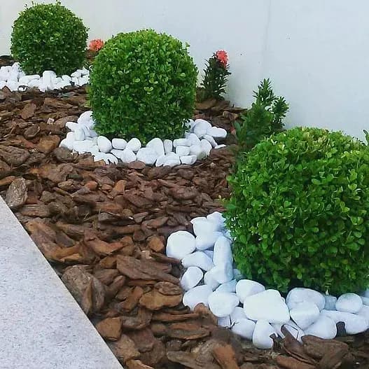 Pedra Dolomítica Cálcario Terra Nobre Branca 3.5-6.5cm Seixo Jardim 1kg Branco 3.5 Cm 6 Cm