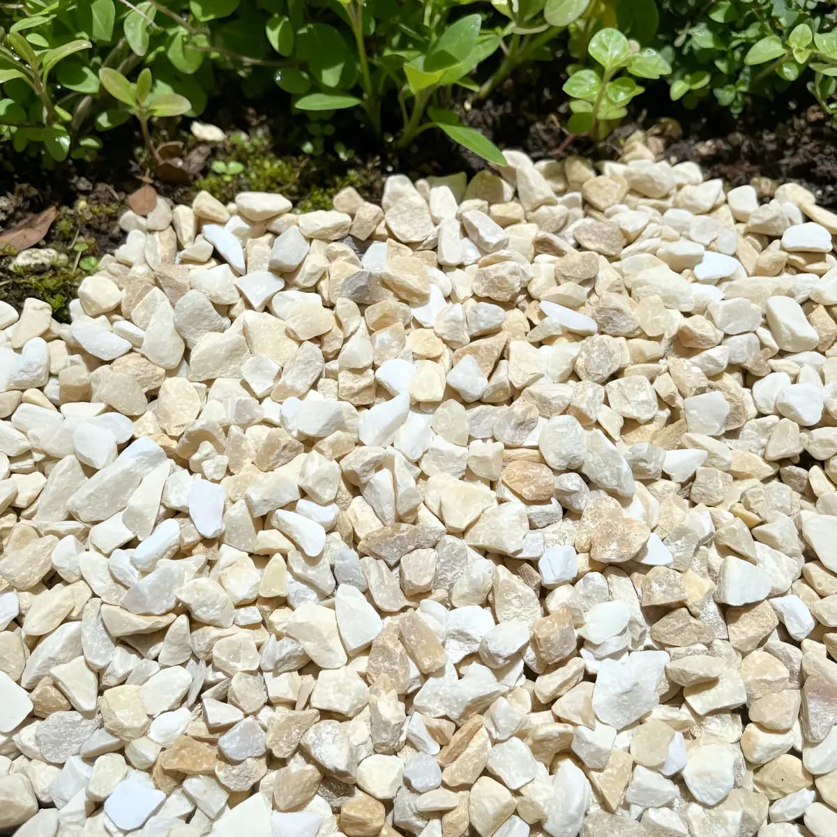 Pedras Pedrisco Palha Ornamentais Jardim Fontes Nº1 - 5kg. Palha 5 Mm 1 Cm