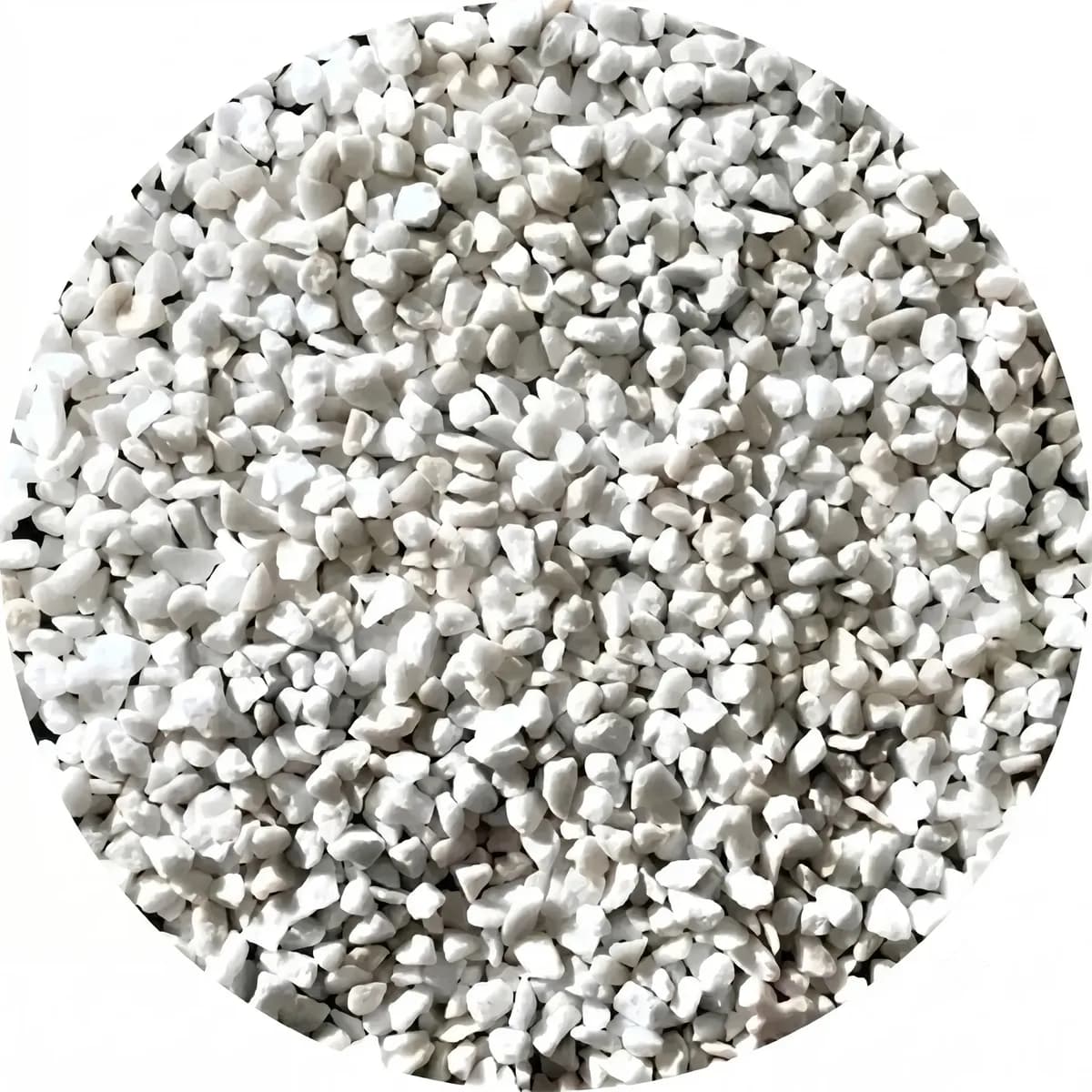 Pedras Ornamentais Pedrisco Branco Tam 1 Vaso Suculenta 10kg Branco 1 Cm 3 Cm