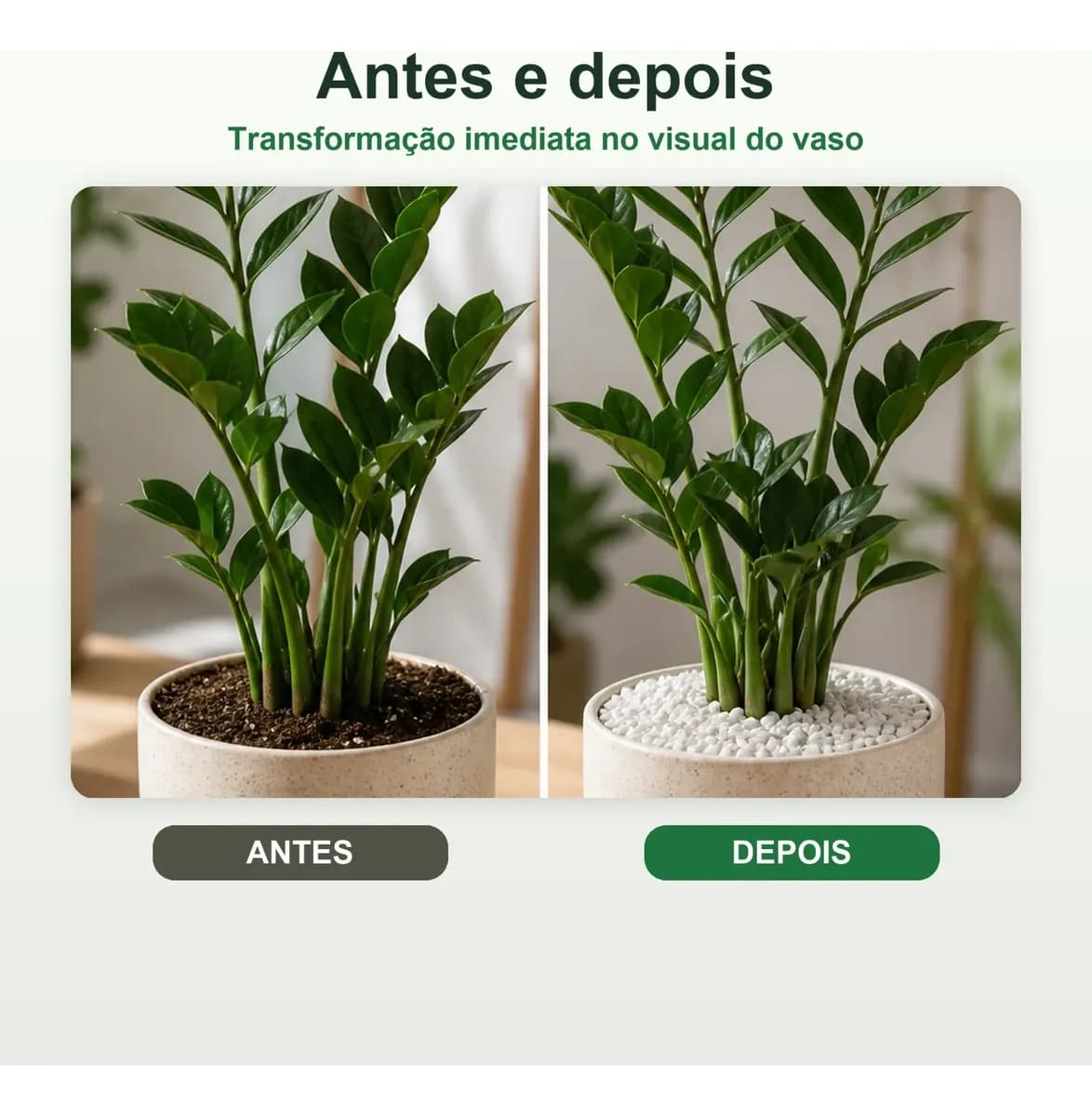 Pedras Ornamentais Pedrisco Branco Tam 1 Vaso Suculenta 10kg Branco 1 Cm 3 Cm