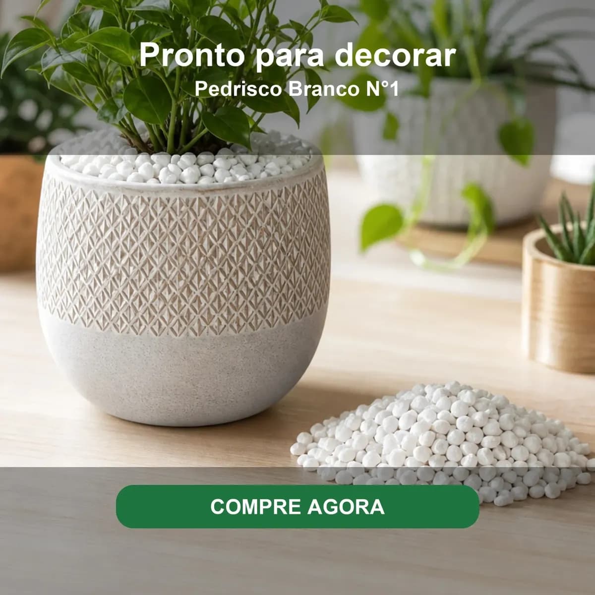 Pedras Ornamentais Pedrisco Branco Tam 1 Vaso Suculenta 10kg Branco 1 Cm 3 Cm