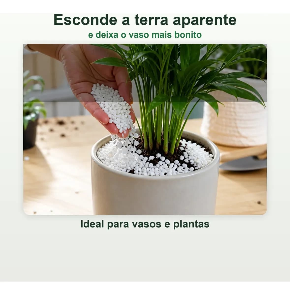 Pedrinha Branca Vaso Jardim Decoração Aquário Terrario 5kg. Branco 1 Cm 5 Cm