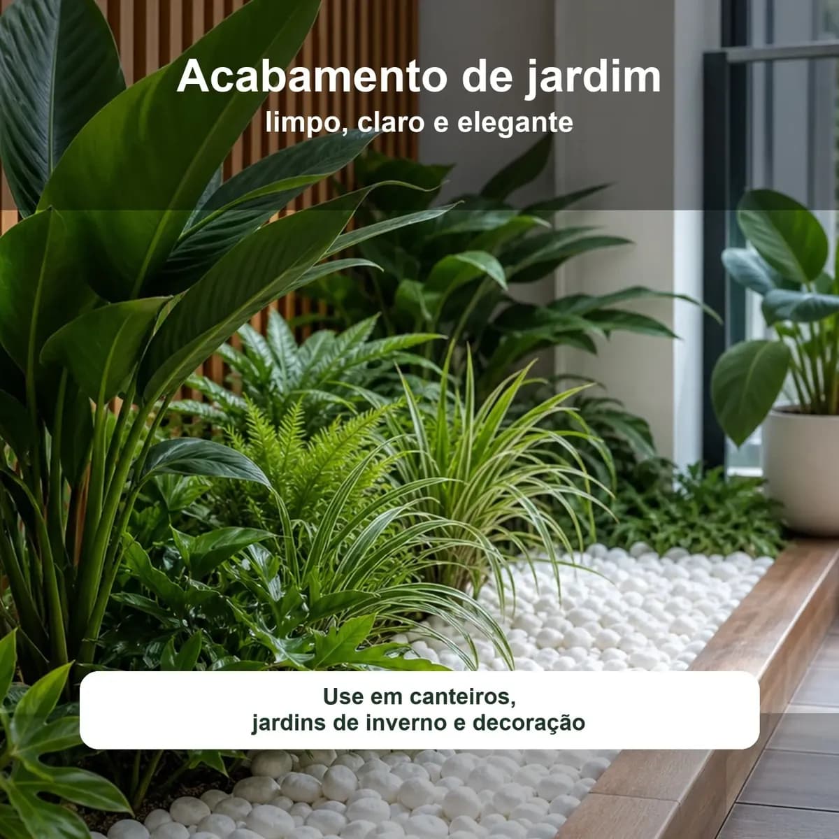 Pedrinha Branca Vaso Jardim Decoração Aquário Terrario 5kg. Branco 1 Cm 5 Cm