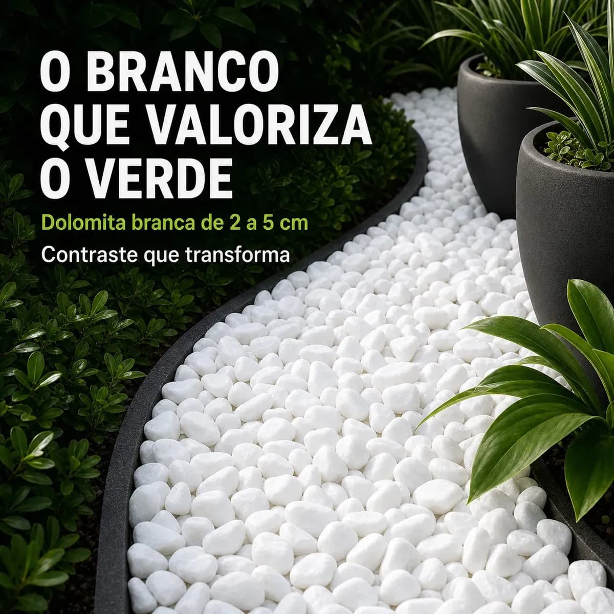 Pedra Dolomita Branca Seixo Para Jardim Vasos Paisagismo 5kg Branco 2 Cm 5 Cm